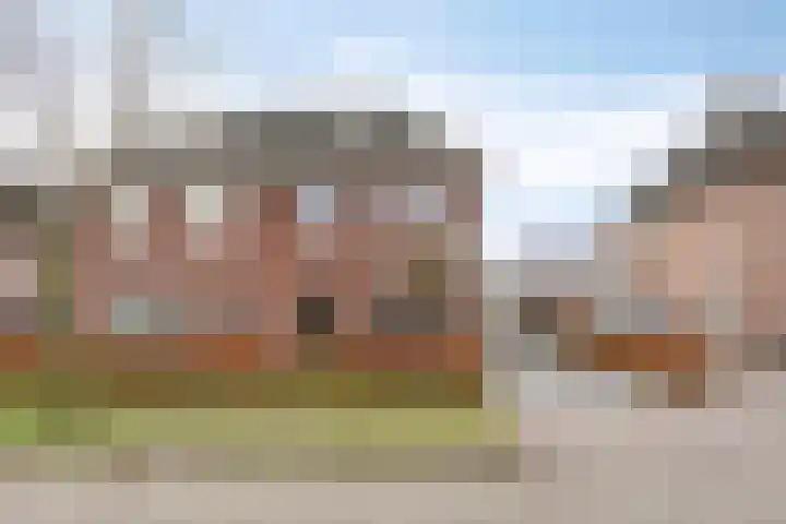 Citroenvlinder 18 Emmen thumbnail 35