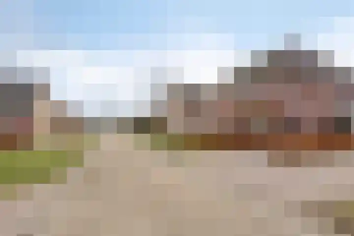 Citroenvlinder 18 Emmen thumbnail 36