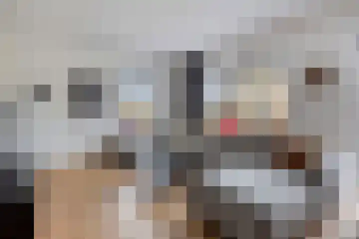 Citroenvlinder 18 Emmen thumbnail 6