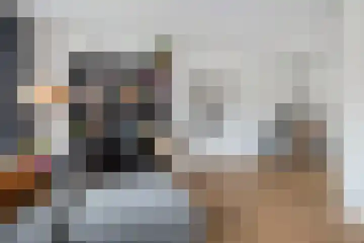 Citroenvlinder 18 Emmen thumbnail 8