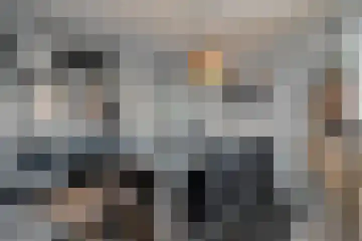 Citroenvlinder 19 Zwolle thumbnail 13