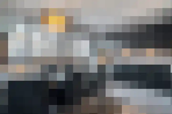 Citroenvlinder 19 Zwolle thumbnail 14