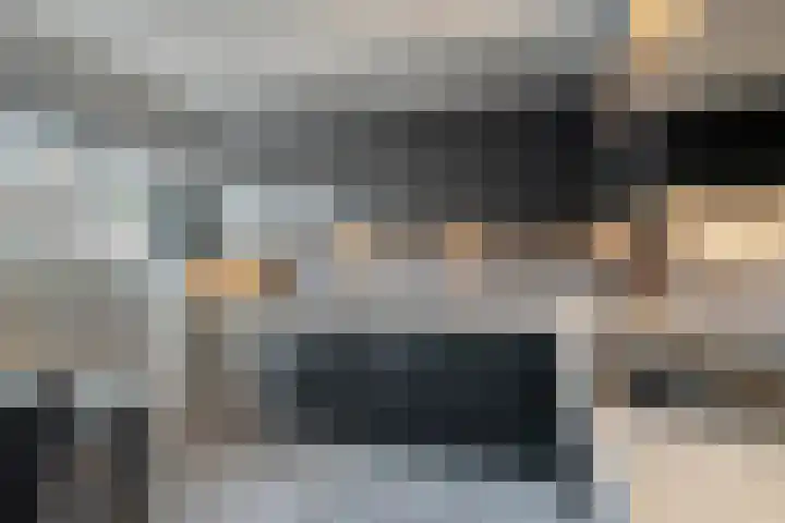 Citroenvlinder 19 Zwolle thumbnail 16