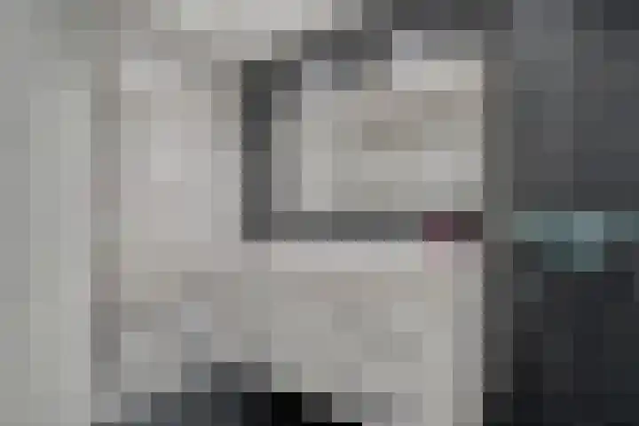 Citroenvlinder 19 Zwolle thumbnail 20