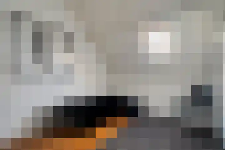 Citroenvlinder 19 Zwolle thumbnail 30