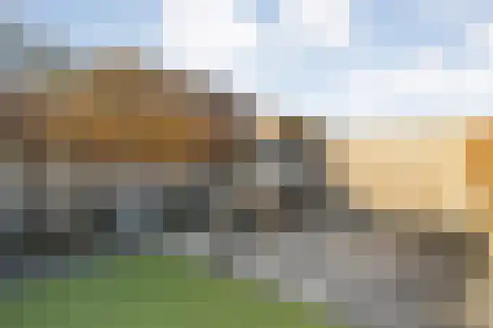 Citroenvlinder 19 Zwolle thumbnail 35