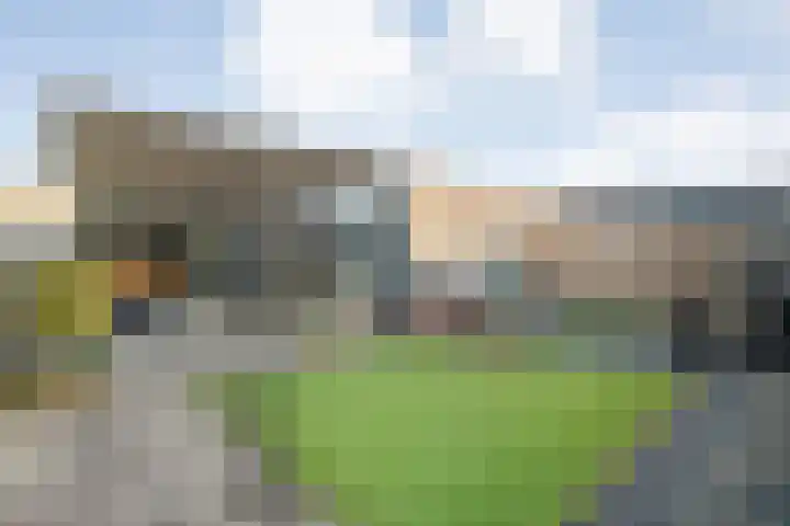 Citroenvlinder 19 Zwolle thumbnail 36