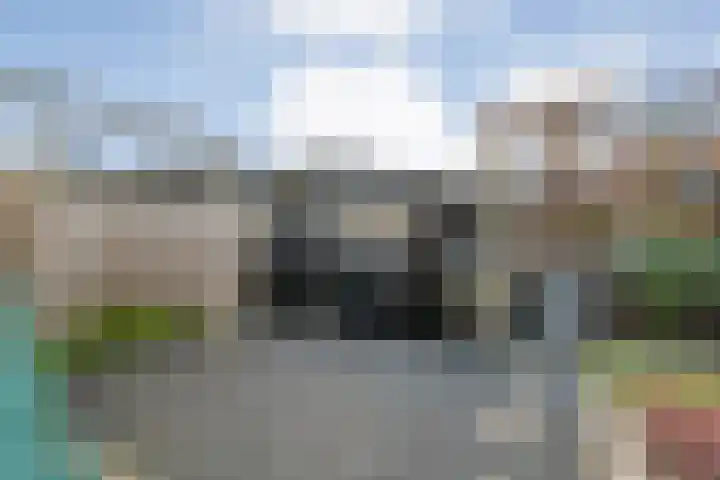 Citroenvlinder 19 Zwolle thumbnail 39