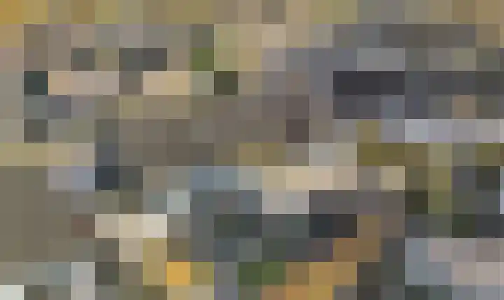 Citroenvlinder 19 Zwolle thumbnail 4