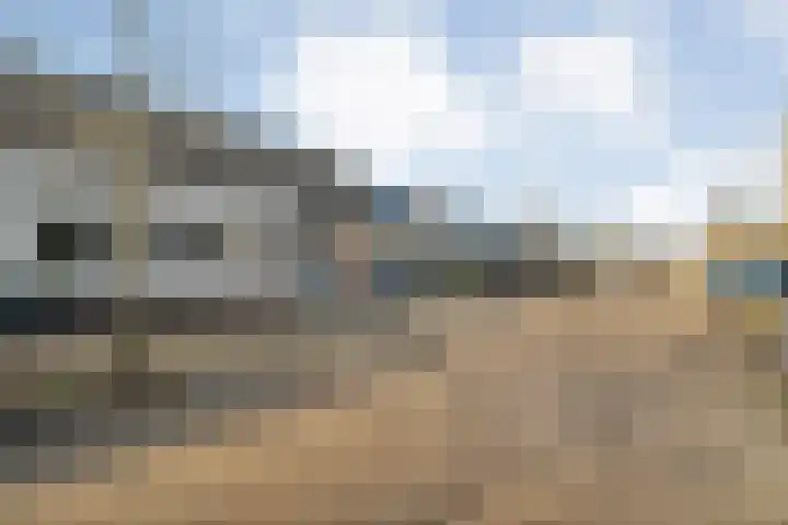 Citroenvlinder 19 Zwolle thumbnail 41