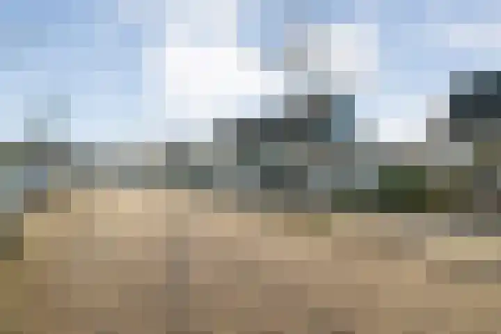 Citroenvlinder 19 Zwolle thumbnail 42