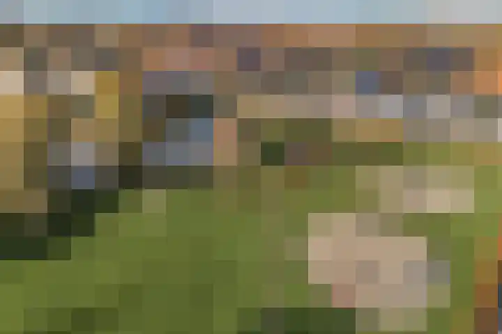 Citroenvlinder 19 Zwolle thumbnail 44