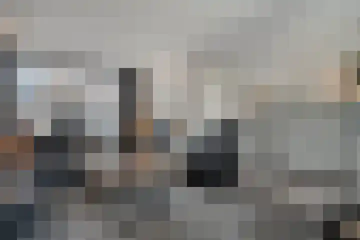 Citroenvlinder 19 Zwolle thumbnail 8