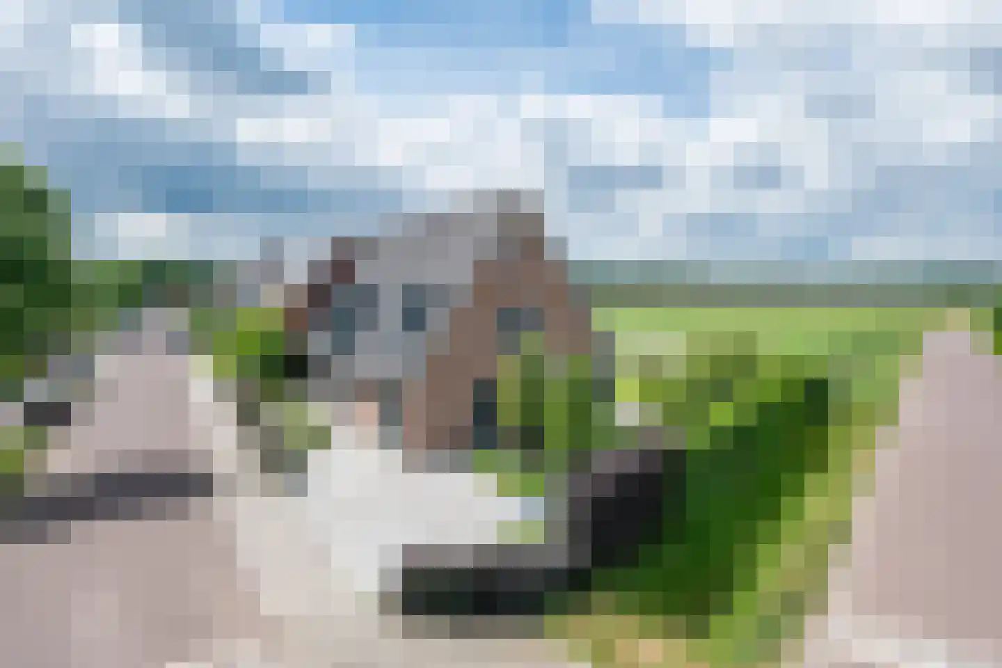 Citroenvlinder 2 Mierlo thumbnail 10