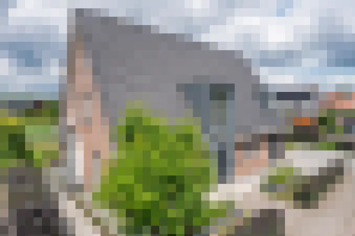 Citroenvlinder 2 Mierlo thumbnail 11