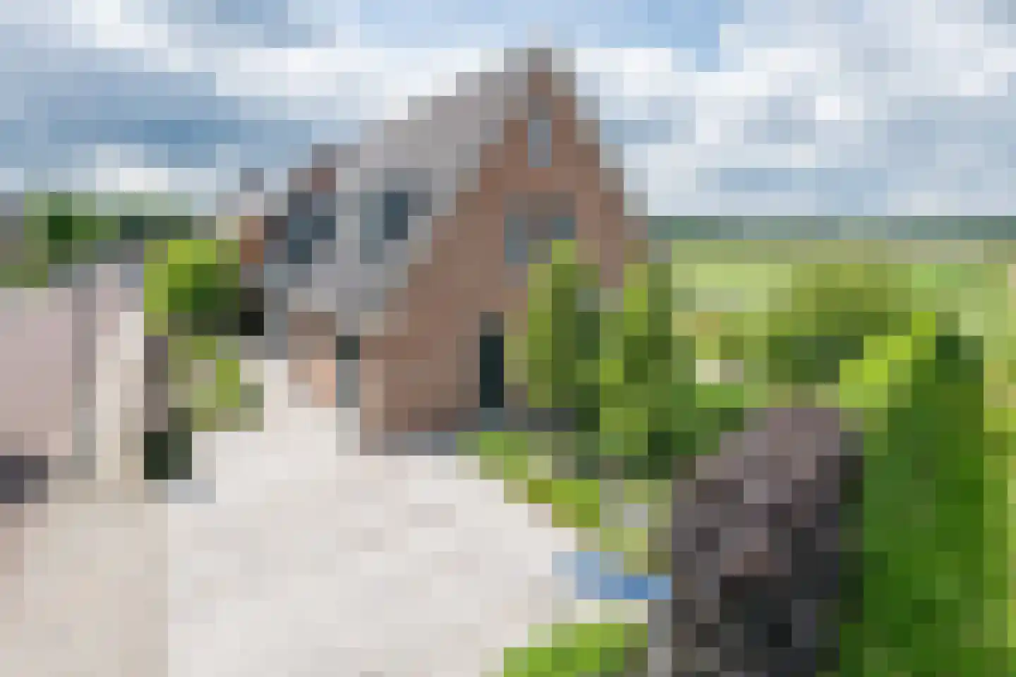 Citroenvlinder 2 Mierlo thumbnail 12