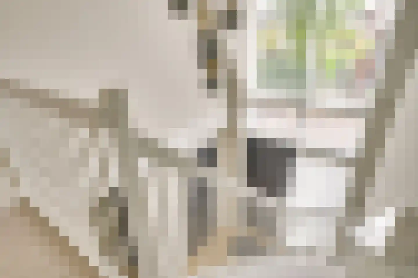 Citroenvlinder 2 Mierlo thumbnail 16