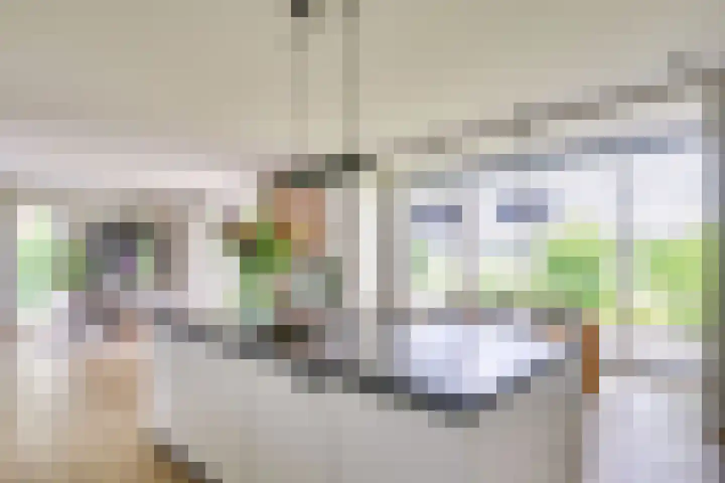 Citroenvlinder 2 Mierlo thumbnail 20