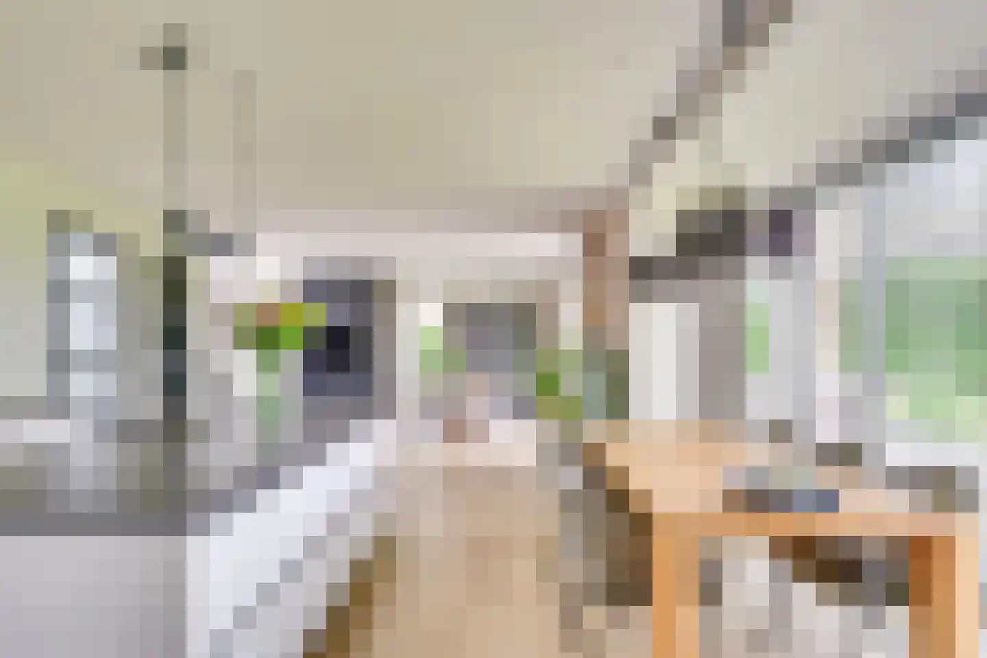 Citroenvlinder 2 Mierlo thumbnail 21
