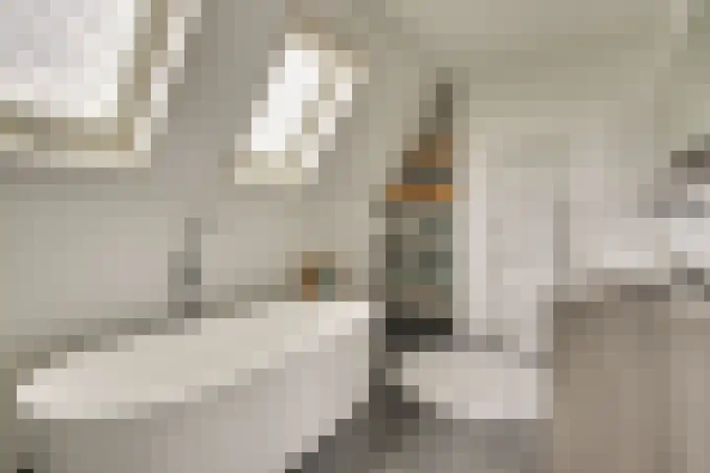 Citroenvlinder 2 Mierlo thumbnail 32