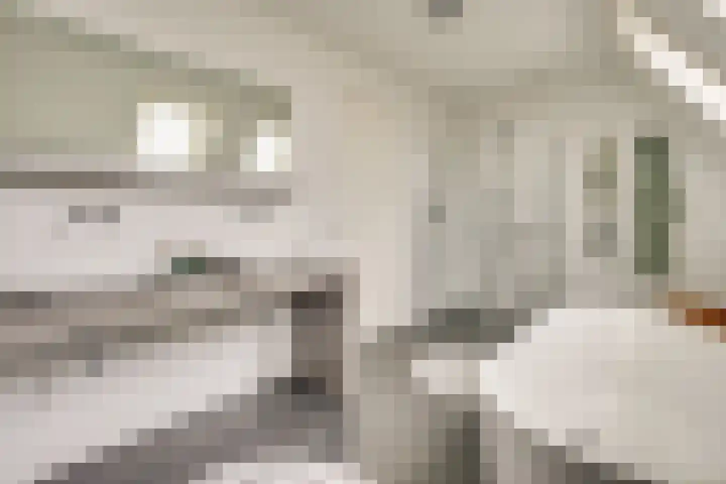 Citroenvlinder 2 Mierlo thumbnail 33