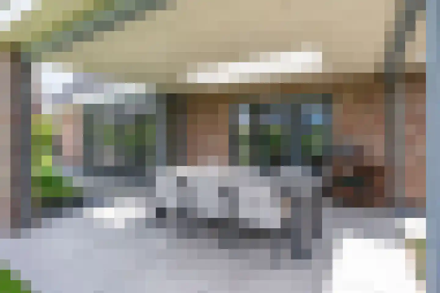 Citroenvlinder 2 Mierlo thumbnail 48