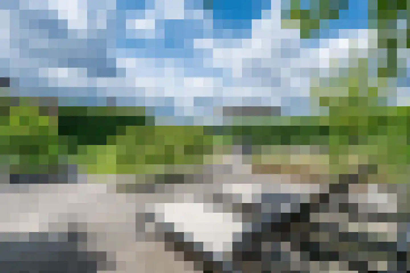 Citroenvlinder 2 Mierlo thumbnail 53