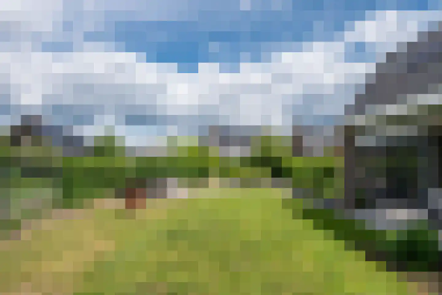 Citroenvlinder 2 Mierlo thumbnail 54