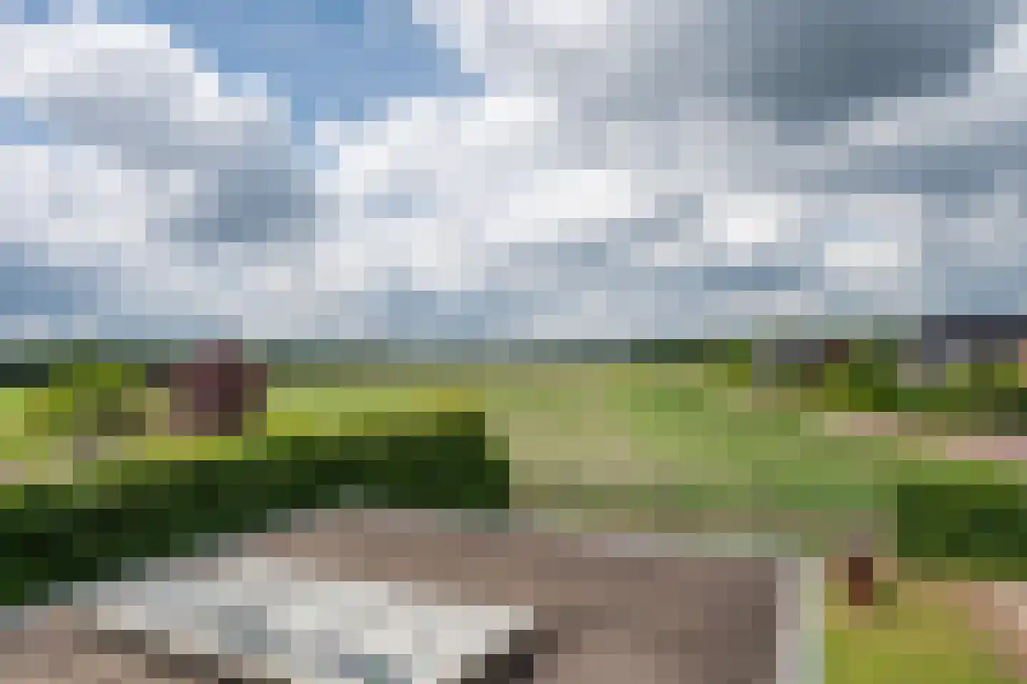 Citroenvlinder 2 Mierlo thumbnail 57