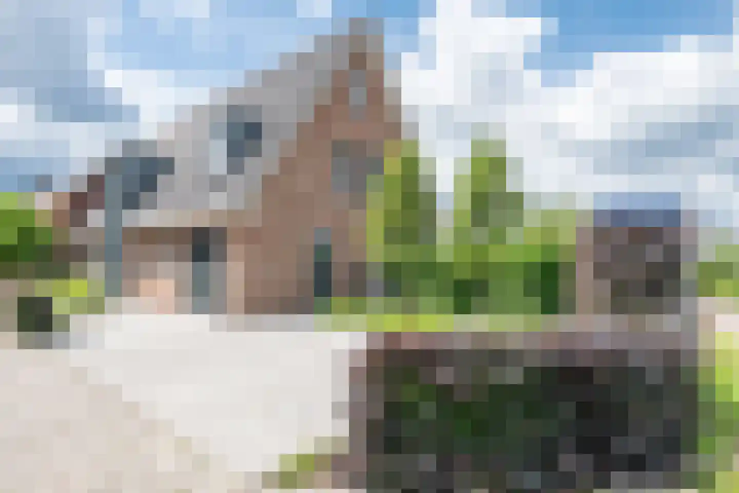 Citroenvlinder 2 Mierlo thumbnail 8