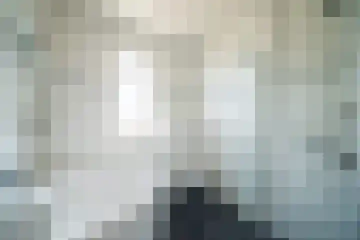 Citroenvlinder 22 Holten thumbnail 19