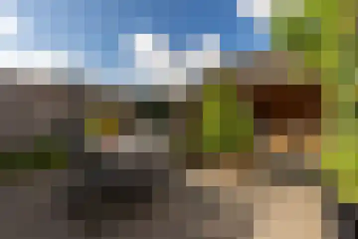Citroenvlinder 22 Holten thumbnail 24