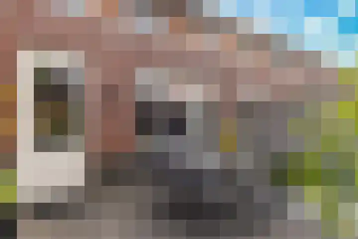 Citroenvlinder 22 Holten thumbnail 25