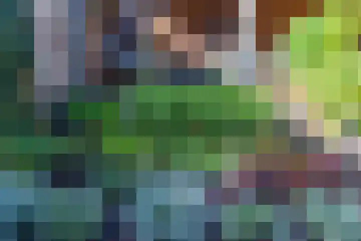 Citroenvlinder 22 Holten thumbnail 27