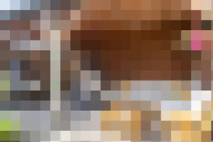 Citroenvlinder 22 Holten thumbnail 28