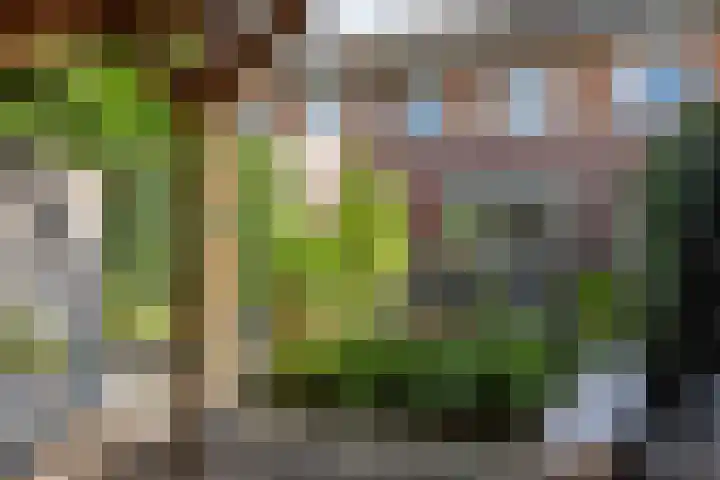 Citroenvlinder 22 Holten thumbnail 29