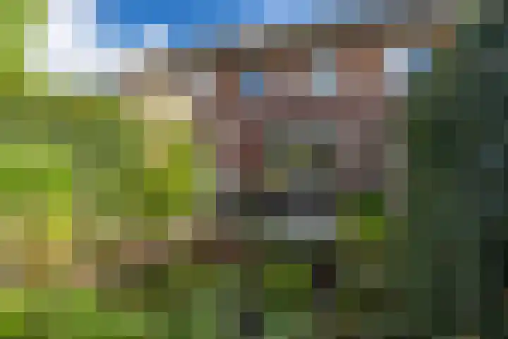 Citroenvlinder 22 Holten thumbnail 30