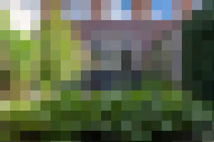 Citroenvlinder 22 Holten thumbnail 31