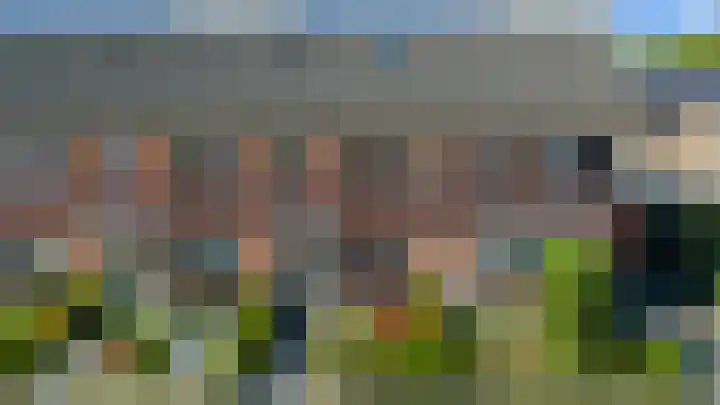 Citroenvlinder 22 Holten thumbnail 34