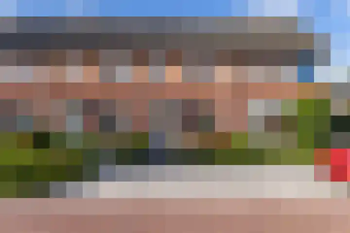 Citroenvlinder 22 Holten thumbnail 37