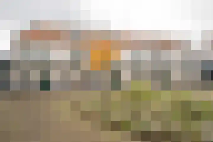 Citroenvlinder 22 Nijkerk thumbnail 16