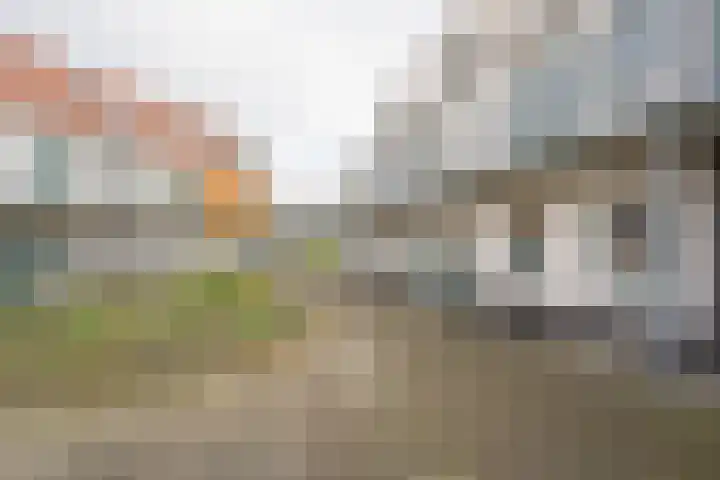 Citroenvlinder 22 Nijkerk thumbnail 17