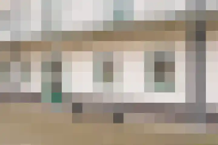 Citroenvlinder 22 Nijkerk thumbnail 19