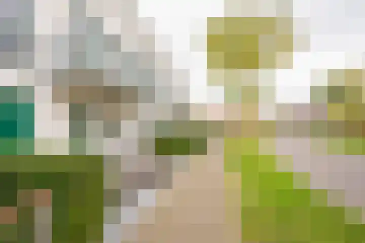 Citroenvlinder 22 Nijkerk thumbnail 22