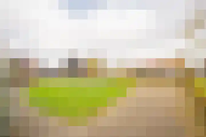 Citroenvlinder 22 Nijkerk thumbnail 23