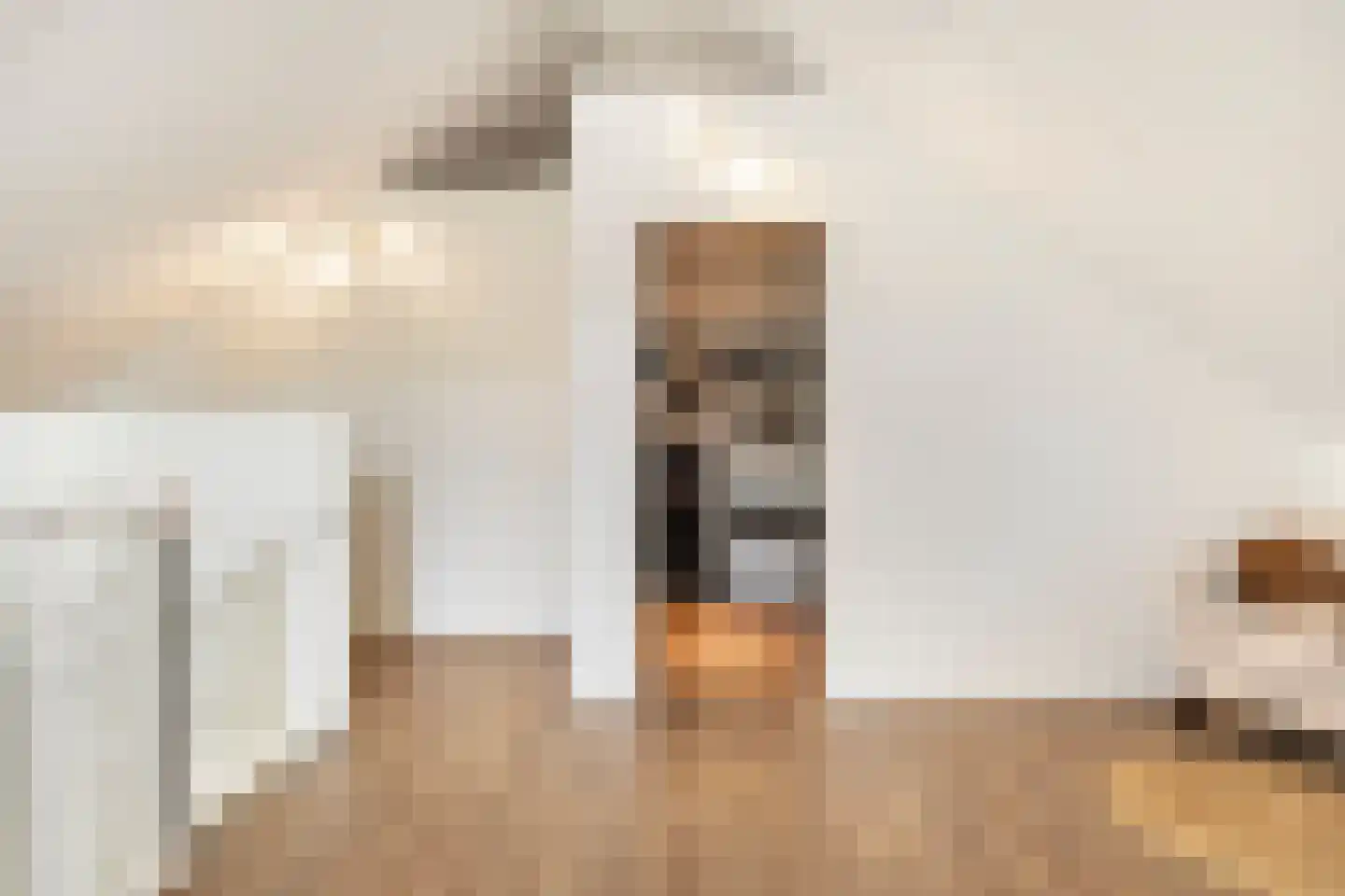 Citroenvlinder 23 Borne thumbnail 41