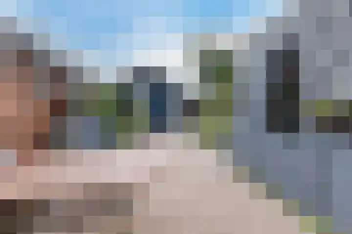 Citroenvlinder 23 Hellevoetsluis thumbnail 27