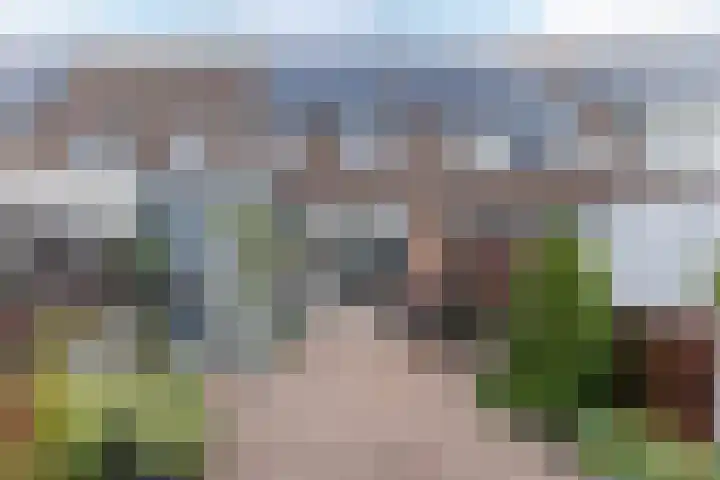 Citroenvlinder 23 Hellevoetsluis thumbnail 29