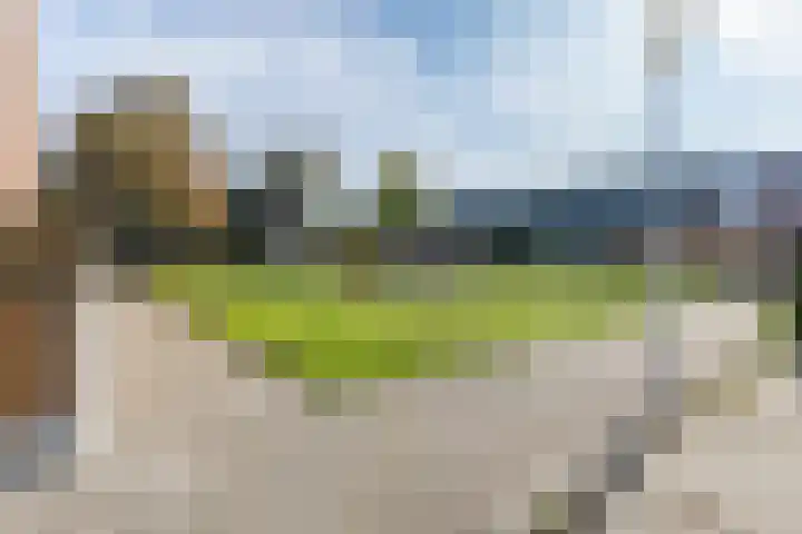 Citroenvlinder 23 Hellevoetsluis thumbnail 31