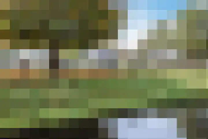 Citroenvlinder 23 Hellevoetsluis thumbnail 32